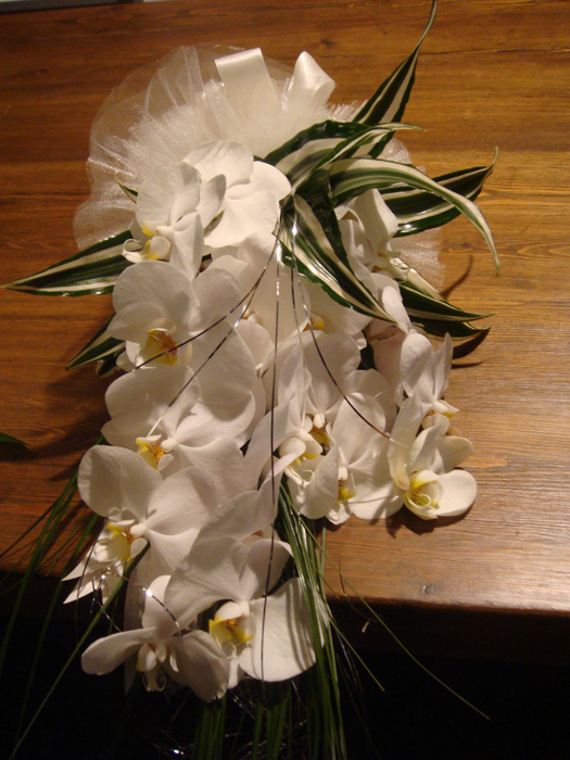 orkide gelin elli çiçeği  